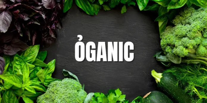 Organic Living: A Path to Health and Wellness