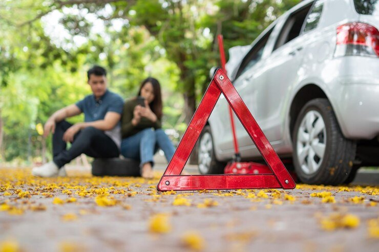 drive way guard to protect my wheels f